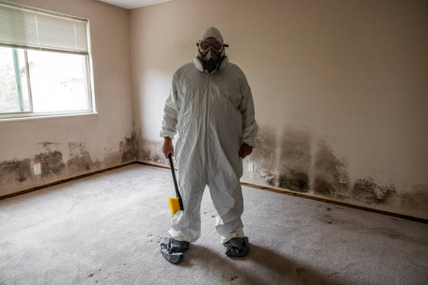 Best Mold Damage Repair  in Lake Of The Woods, IL